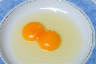 Hen's egg with double yolk