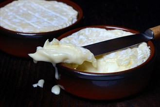 French soft cheese in clay pot