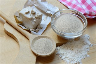 Baker's yeast