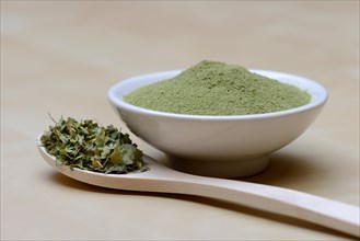 Moringa powder in bowl and moringa leaves in spoon