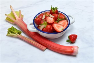 Strawberries in skin and rhubarb
