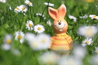 Easter bunny among daisies