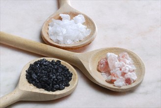Different kinds of salt on wooden spoons