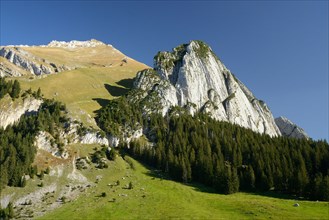 Schafberg