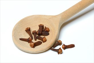 Cloves in cooking spoon