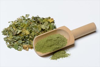 Moringa powder in shovel and Moringa leaves