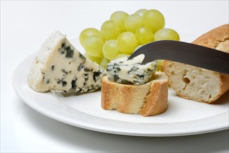 Roquefort on bread and fair