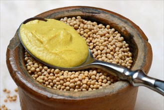 Mustard seeds and mustard