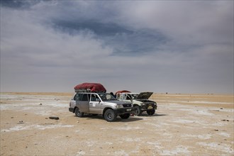 Two Expedition Jeeps in the desert