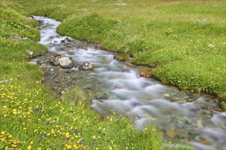 Stream in Buedner Alps