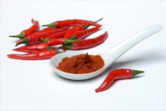 Chili powder in porcelain spoon