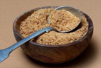 Coconut blossom sugar in shell