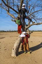 Local children posing on a dry tree