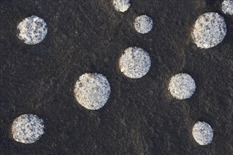 Stone Detail