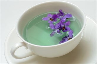 Violet tea
