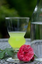 Glass of Absinthe with water carafe