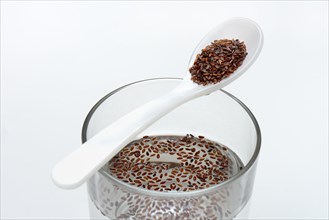 Glass of water and spoon with psyllium