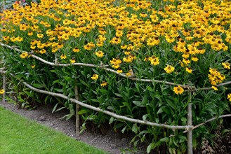 Support fence for flowers