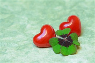 Lucky Clover and red hearts
