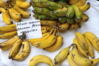 Fruit sales in the market hall of Funchal