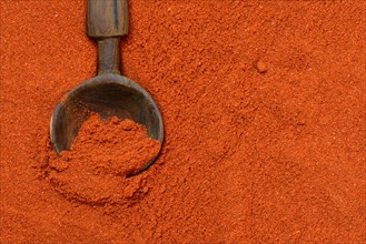 Paprika powder with wooden spoon