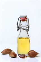 Pilinut oil in bottle and pilinuts