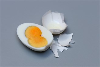 Boiled hen's egg with double yolk