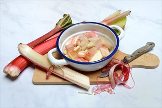 Rhubarb and rhubarb pieces in shell