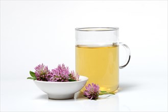Red clover-Tea in glass
