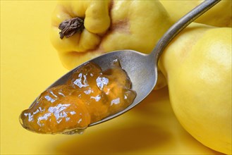 Quince jelly in spoon