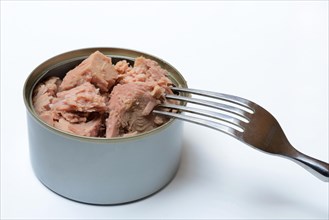 Pink canned tuna