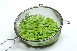 Sliced broad beans with savory in kitchen sieve