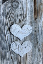 Hearts from birch bark