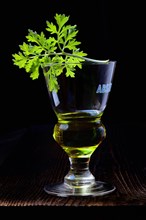 Glass of absinthe with wormwood