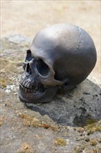 Bronze skull