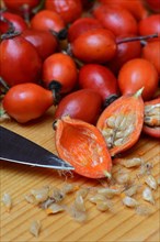 Rosehips with knife point