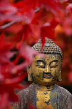 Buddha head with autumn leaves