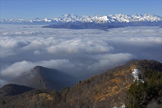 Snowy mountain range with Monte Rosa massif rising above sea of clouds