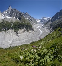 Glacier tongue Mer de Glace