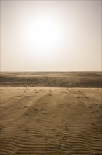 Backlit sand drifts