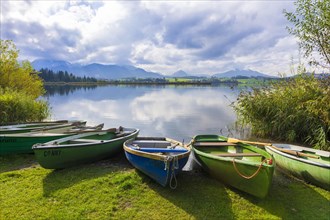 Rowing boats at the Forggensee