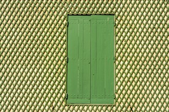 Green window on a wooden lattice wall