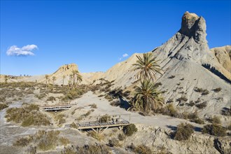 Bare ridges of eroded sandstone and palm trees in the Tabernas Desert