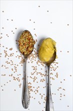 Coarse and fine mustard in spoon
