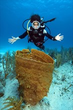 Diver looking at Giant Barrel Sponge