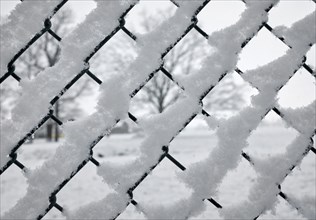 Wire mesh fence with snow