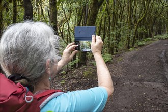 Woman taking pictures with mobile phone on forest path in laurel forest