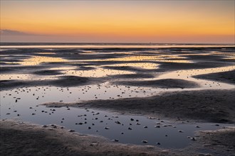 Mudflats in the evening light