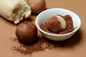 Marzipan potato in shell with cocoa