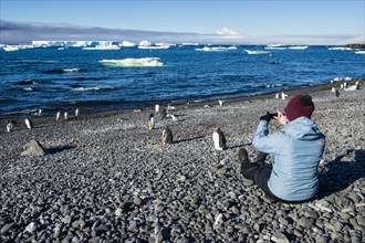 Tourist photographing Adelie and Gentoo penguins